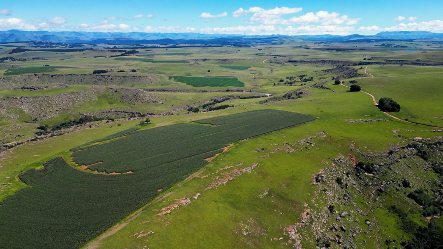 0 Bedroom Property for Sale in Maclear Rural Eastern Cape